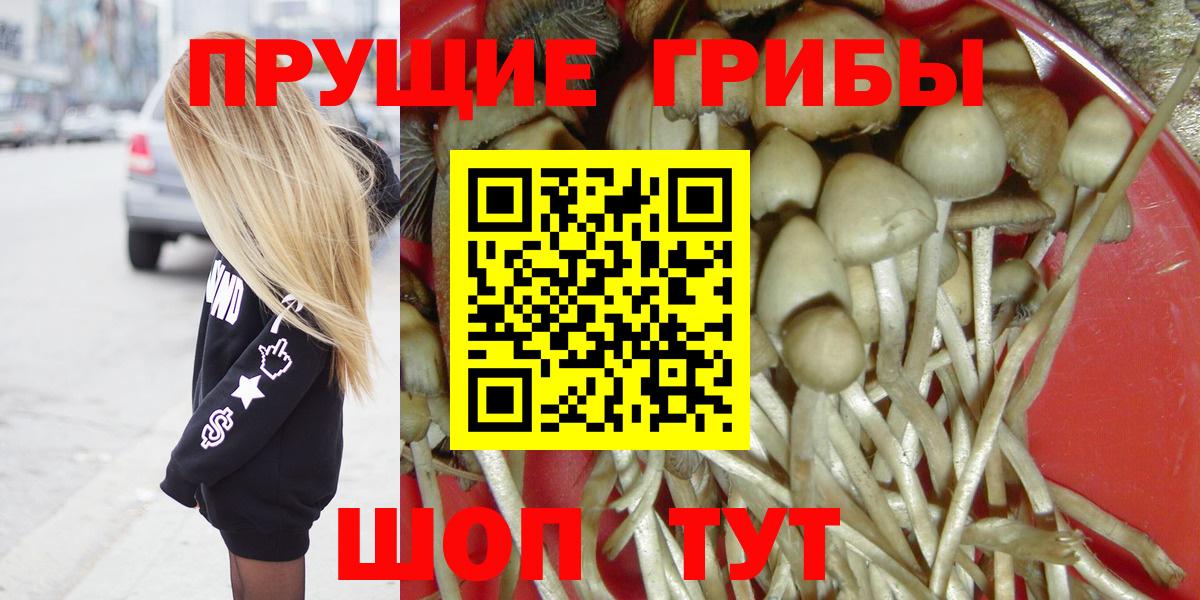 Псилоцибиновые грибы Psilocybine cubensis  Вход с VPN  Красный Сулин 